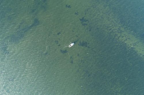 DJI 0056